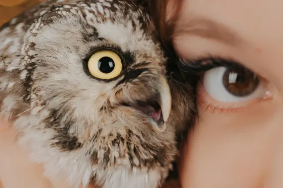 ベガスワイルド カジノ サポート